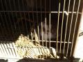 20140606_101124.jpg